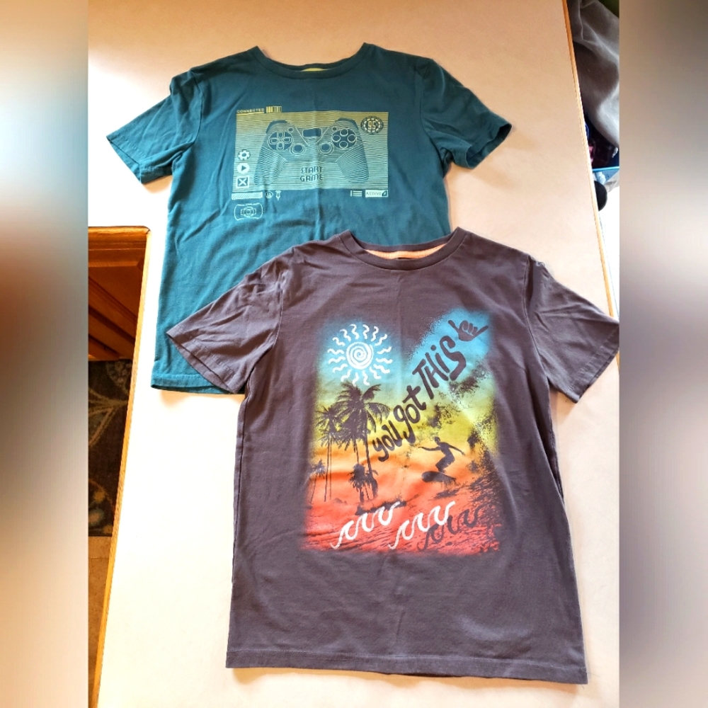 Boys Size L - 14/16, T-shirt Lot